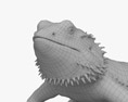 Bearded Dragon Modello 3D