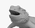 Bearded Dragon 3D модель