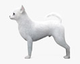 Chihuahua blanco Modelo 3D
