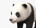 Cachorro de panda Modelo 3D