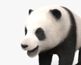 熊猫幼崽 3D模型
