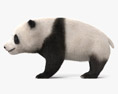 Panda Cub 3d model