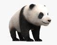 Cucciolo di panda Modello 3D