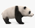 Filhote de panda Modelo 3d