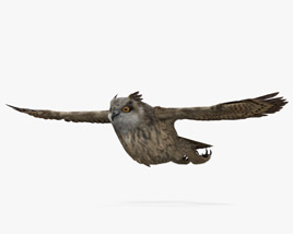Eurasian Eagle-Owl Flying 3D model