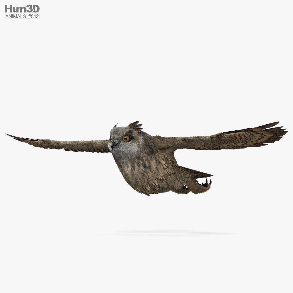 Eurasian Eagle-Owl Flying 3D model