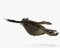 Eurasian Eagle-Owl Flying 3D модель
