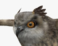 Eurasian Eagle-Owl Flying 3d model