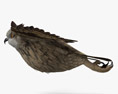 Eurasian Eagle-Owl Flying Modelo 3D