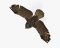 Eurasian Eagle-Owl Flying Modelo 3d