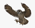 Eurasian Eagle-Owl Attacking 3D 모델 