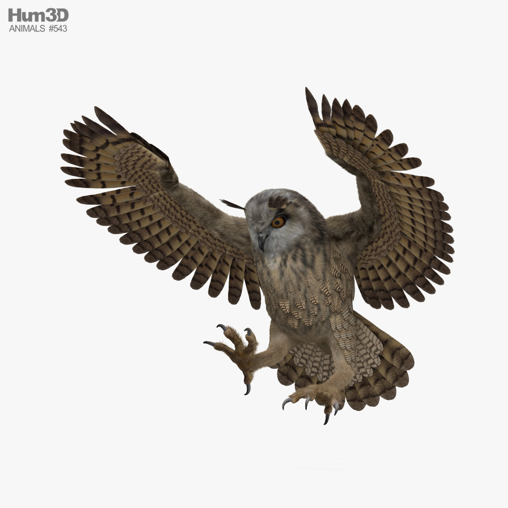 Eurasian Eagle-Owl Attacking 3Dモデル