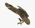 Eurasian Eagle-Owl Attacking 3D-Modell