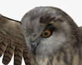 Eurasian Eagle-Owl Attacking 3D 모델 