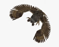 Eurasian Eagle-Owl Attacking Modello 3D