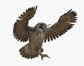 Eurasian Eagle-Owl Attacking 3D模型