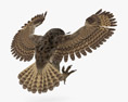 Eurasian Eagle-Owl Attacking Modello 3D