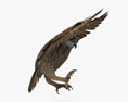 Eurasian Eagle-Owl Attacking 3D модель