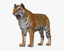 Tiger Roaring Modelo 3d
