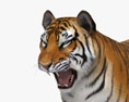 Tiger Roaring 3D-Modell