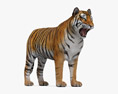Tiger Roaring 3D 모델 