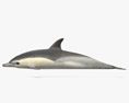 Golfinho-comum-de-bico-curto Modelo 3d