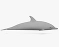 Delfín común oceánico Modelo 3D