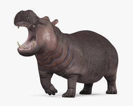 Roaring Hippopotamus 3D model