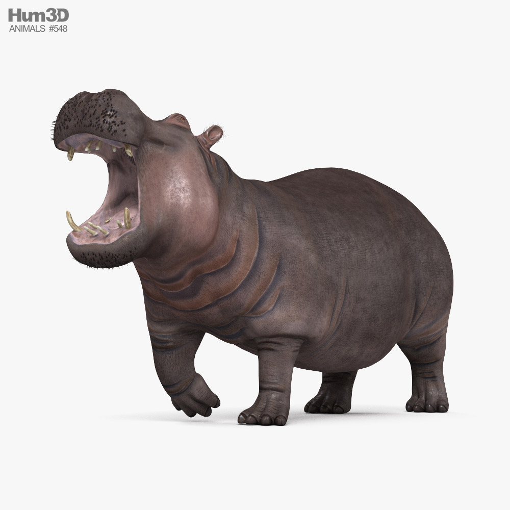 Roaring Hippopotamus 3D model