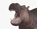Roaring Hippopotamus 3D-Modell
