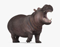 Roaring Hippopotamus Modello 3D