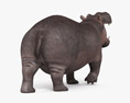 Roaring Hippopotamus Modello 3D