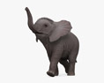 Running Baby Elephant 3D模型