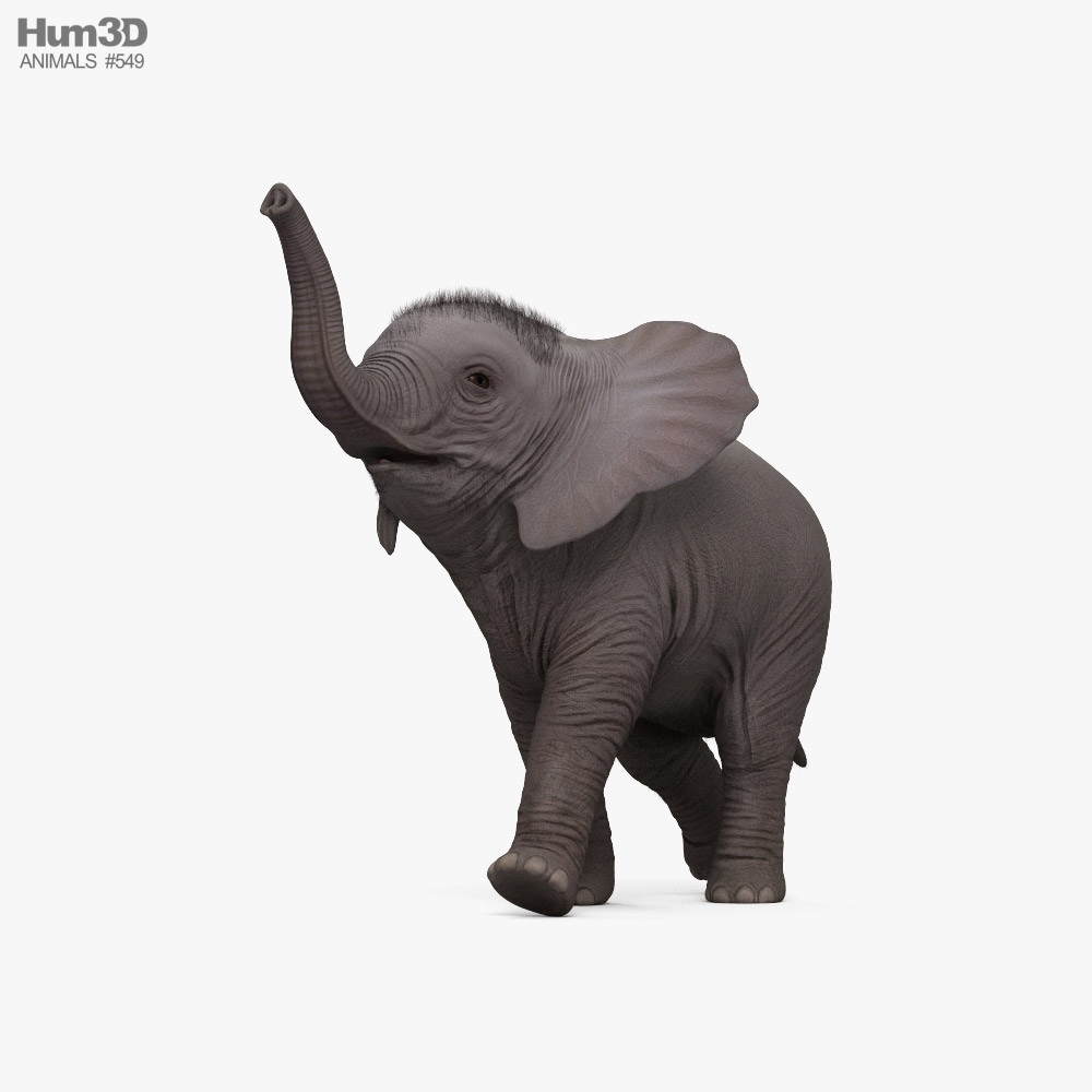 Running Baby Elephant 3D model