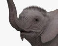 Running Baby Elephant Modèle 3d