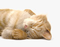 Cat Lying on Back 3Dモデル