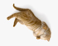 Cat Lying on Back 3D-Modell