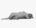 Cat Lying on Back 3D-Modell