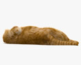 Cat Lying on Back Modèle 3d