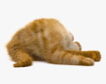 Cat Lying on Back Modelo 3d