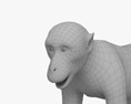 Macaco japonés Modelo 3D