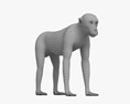 Macaco giapponese Modello 3D