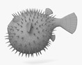 Pesce palla Modello 3D