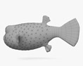 Pufferfish 3d model