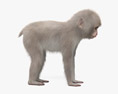 Bebé macaco japonês Modelo 3d
