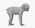 일본 원숭이 아기 3D 모델 