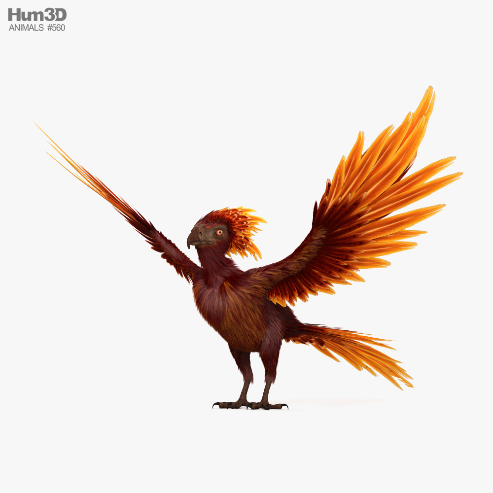 Phoenix 3D model