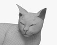 Katze auf der Seite liegend 3D-Modell