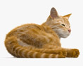 Лежащая на боку кошка 3D модель