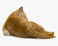 옆으로 누워있는 고양이 3D 모델 